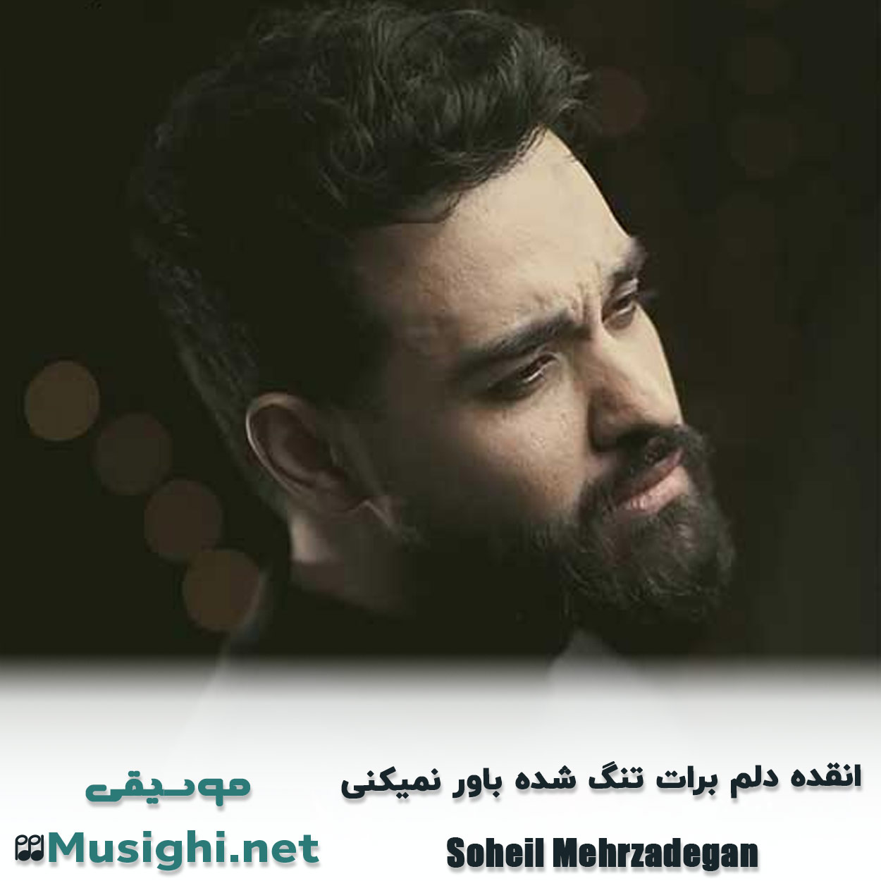 دانلود اهنگ انقده دلم برات تنگ شده باور نمیکنی سهیل مهرزادگان